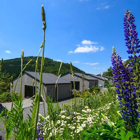 Sauerland Lodge - Haus Maxim Winterberg Bagian luar foto